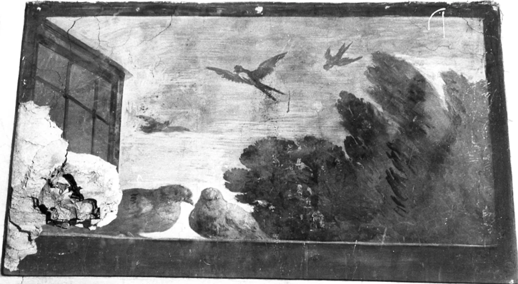 Palazzo Pamphilj, Roma - colombe